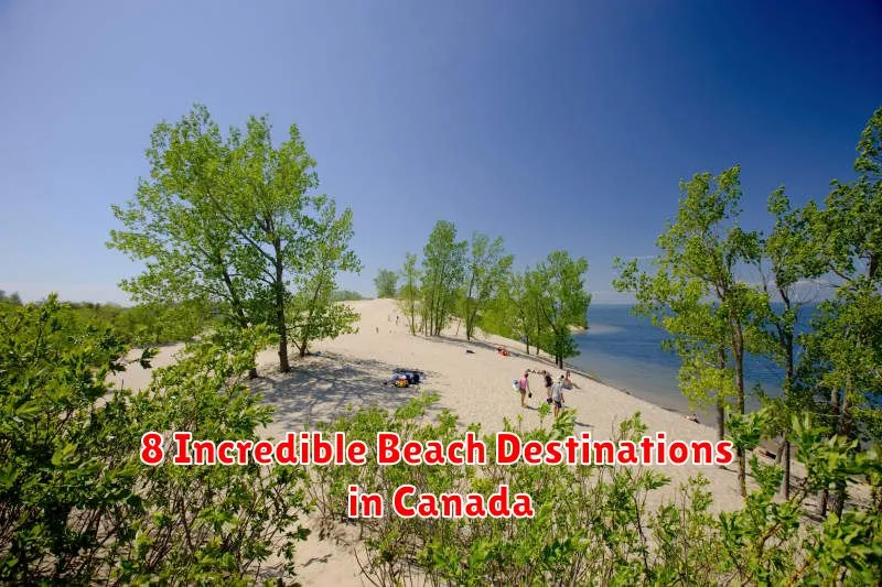 8 Incredible Beach Destinations in Canada